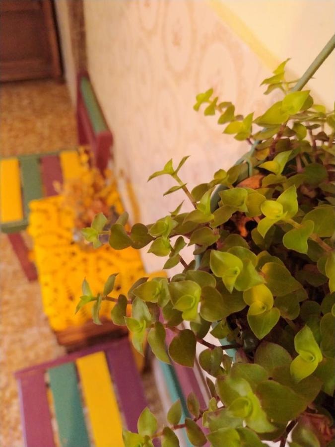 Hostel تيرادينتيس المظهر الخارجي الصورة